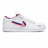 NIKE SB PARRA